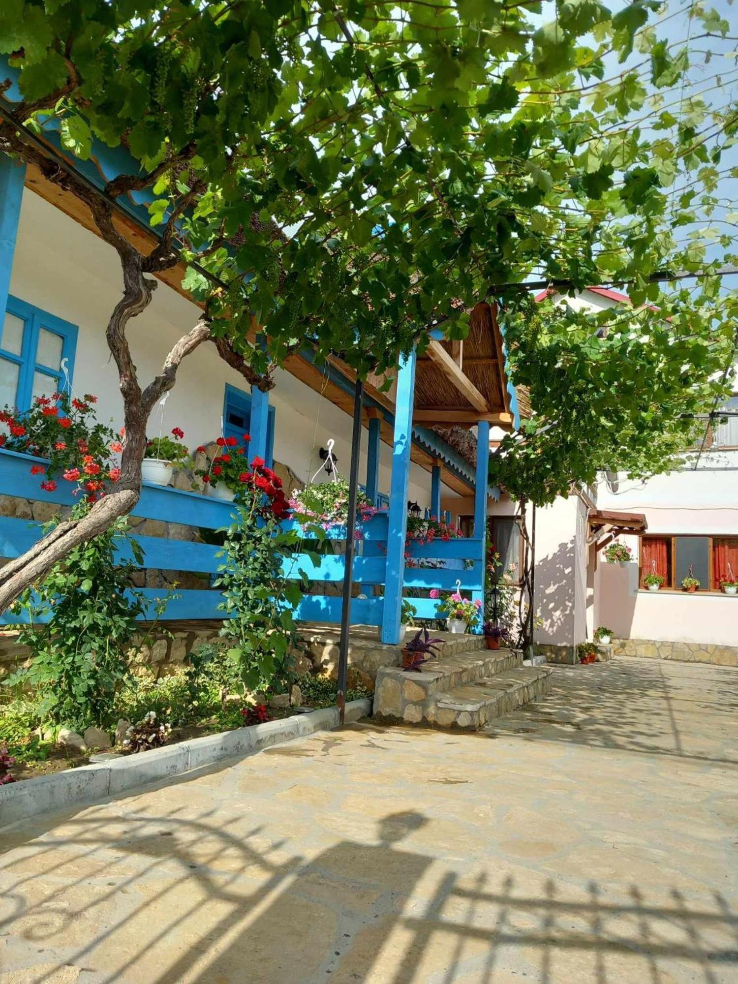Hotel Casa Rasaritul Soarelui Sarichioi Zewnętrze zdjęcie